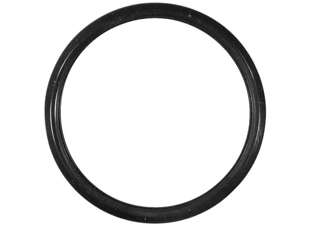 79569 - Cooling Systems: Facet Engine Coolant Thermostat Gasket for FACET FUEL PUMPS Image