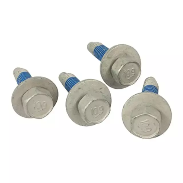 Rear Plate Bolt - Ford (W709390-S439)