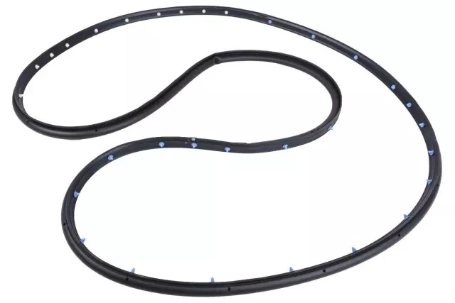 Front Passenger Side Door Weatherstrip - GM (84222074)