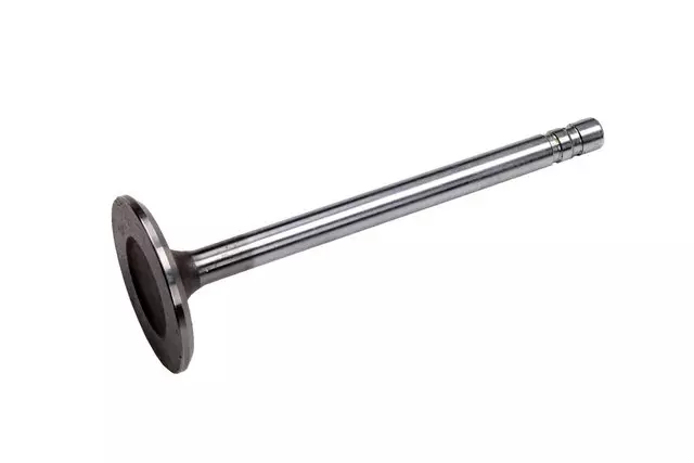 3989088 - : Intake Valve for GM Image