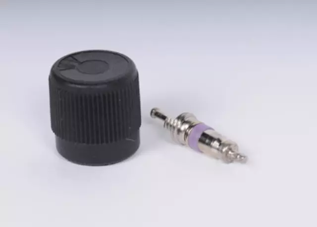 89060523 - : Fuel Injection Fuel Pressure Service Kit with Valve and Cap for GM Image