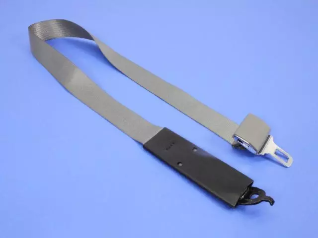 Tip Half Seat Belt, Center - Mopar (5GW301D5AC)