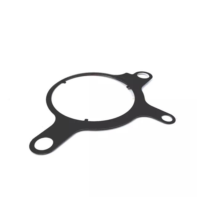 Fuel Pump Gasket - Volkswagen (07Z-145-215)