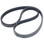 FB4K339 - : INA US Serpentine Belt for INA US Image
