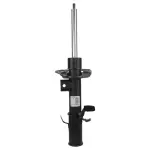 N1PZ18124B - : Suspension Strut for Ford Image
