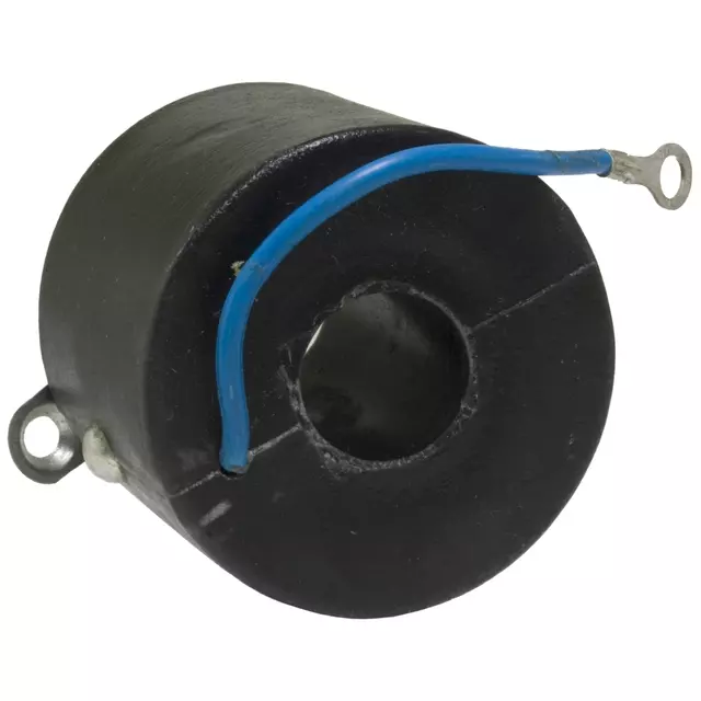 Coil - GM (88921438)