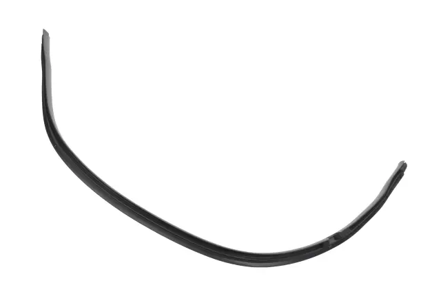 Passenger Side Rear Door Window Inner Weatherstrip - GM (20856459)