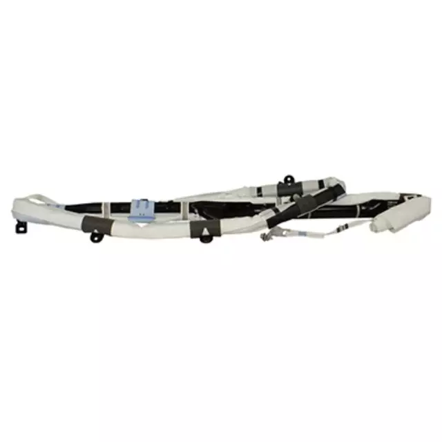 Curtain Air Bag - Ford (JL1Z-78042D94-F)