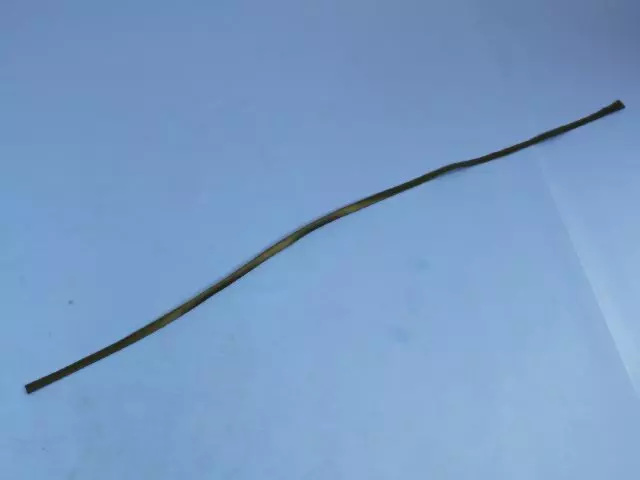 4860672AI - Exterior Ornamentation: Roof Molding, Right for Mopar Image