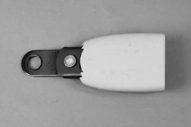 Rear Inner Seat Belt - Mopar (TS941J3AA)