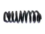 9C3Z5310V - Suspension: Coil Spring for Ford: F-250 Super Duty, F-350 Super Duty, F-450 Super Duty, F-550 Super Duty Image
