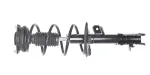 882876 - : Loaded Strut Assy for GSP Image