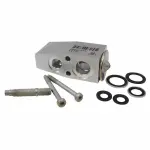 YG420 - HVAC: Motorcraftâ„¢ Expansion Valve for Ford: Fusion | Lincoln: MKZ | Mercury: Milan Image