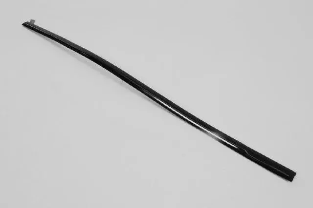 1DH74FKGAB - : Rear Door Molding for Dodge: Caliber Image