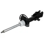 ASH8666322 - Suspension: Motorcraftâ„¢ Strut for Lincoln: Corsair Image