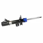 AST84895 - : Shock Absorber Assembly for Lincoln: Nautilus Image