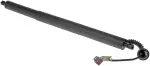 747030 - : Left Power Liftgate Cylinder for Dorman Image