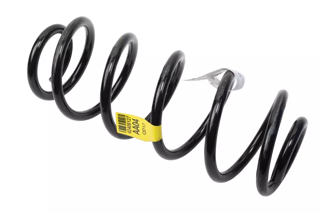 42406127 - Suspension: Spring for GM Image