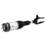 AS3250 - : Arnott Air Suspension Strut for Arnott Image