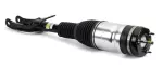AS3249 - : Arnott Air Suspension Strut for Arnott Image