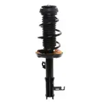 817177 - : PRT 817177 Suspension Strut and Coil Spring Assembly for PRT PERFORMANCE RIDE Image