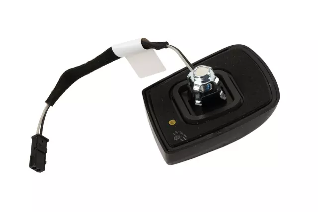 Roof Lamp Assembly - GM (22794642)