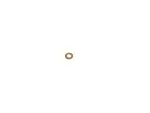 68447753AA - Fuel and Accelerator Pedal: Fuel Injector Seal for Mopar Image