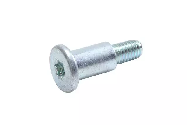 Steering Wheel Horn Switch Bolt - GM (25889494)