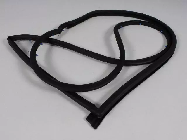 Front Door Mounted Weatherstrip, Right - Mopar (4894984AC)