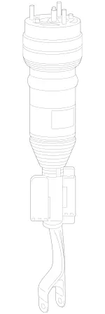 2233207302 - : Air Spring Strut for Mercedes-Benz Image