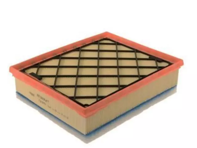 Air Filter - Ford (DS7Z-9601-D)