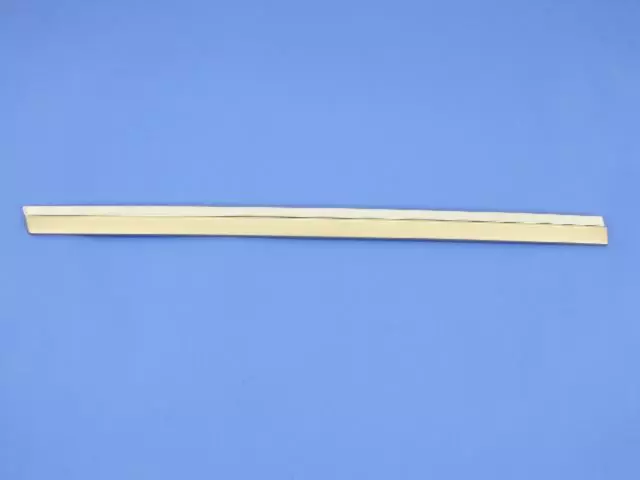 Sliding Door Molding, Right - Mopar (ZW501KGAA)