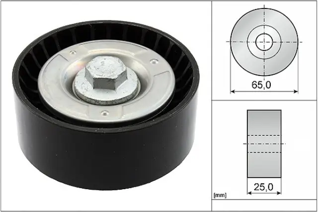 FP0855 - : INA US Accessory Drive Belt Idler Pulley for INA US Image