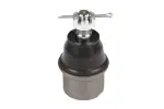 X13BJ0133 - : Ball Joint for SUSPENSIA Image