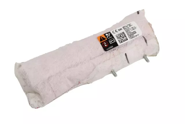Rear Seat Air Bag - GM (39132948)