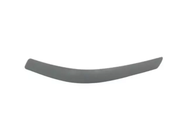 F87Z17K833AAB - Body: Bumper Impact Strip for Ford: Ranger Image