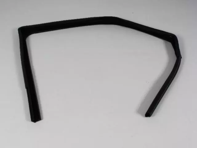 Front Door Glass Run Weatherstrip, Right - Mopar (5067768ad)