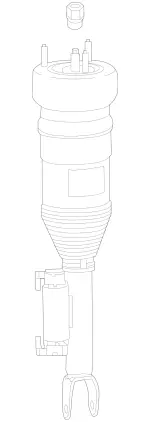 257320220189 - : Remanufactured Air Spring Strut for Mercedes-Benz Image