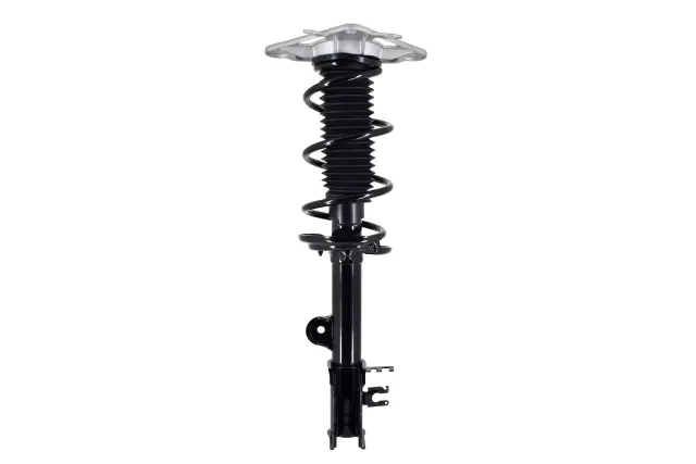 1334079R - Suspension &amp; Steering: Focus Auto Parts Suspension Strut and Coil Spring Assembly for Focus Auto Parts Image