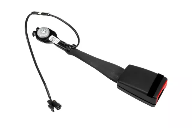 Buckle - GM (19257766)