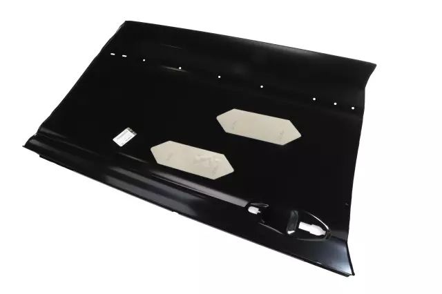 Front Driver Side Door Outer Panel - GM (84406186)