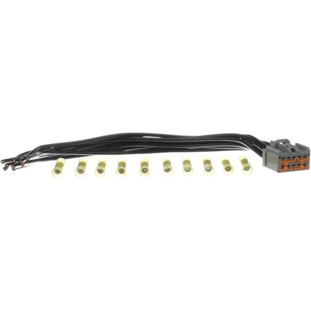 S2042 - Accessories: Body Control Module (BCM) Connector for SMP CORP Image