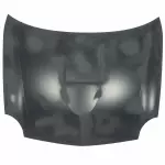 1W6Z16612AA - : Hood for Ford: Thunderbird Image