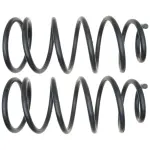 81081 - : Coil Spring Set for Moog Image