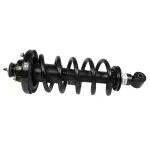 ASTL7 - Suspension: Suspension Strut and Coil Spring Assembly for Motorcraft Image
