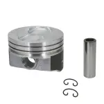 H423DCP20 - : Engine Piston Set for SEALED POWER Image
