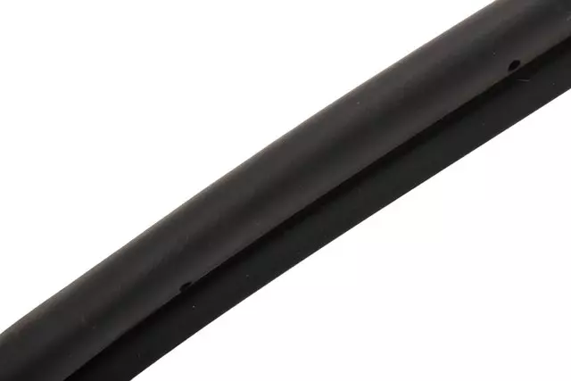 Door Weather-Strip - GM (22973972)