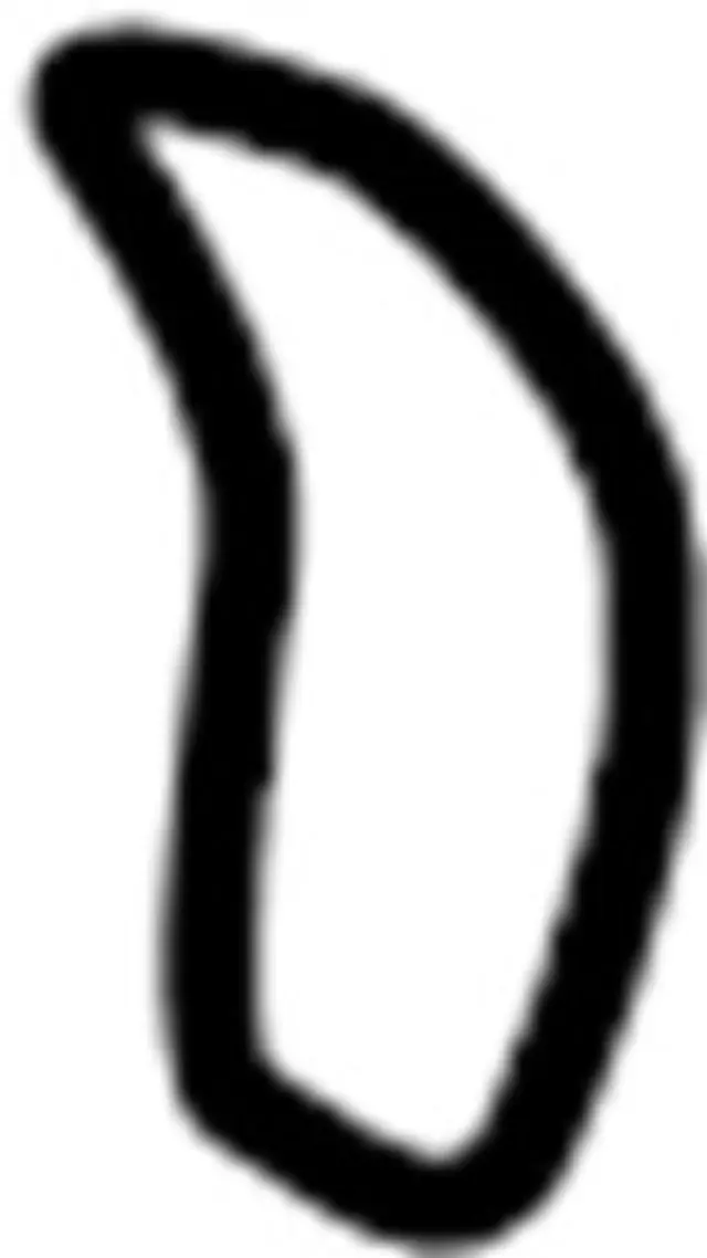 Case Clip - Infiniti (21476C5500)