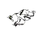 68367361AC - Electrical: Body Wiring for Mopar Image