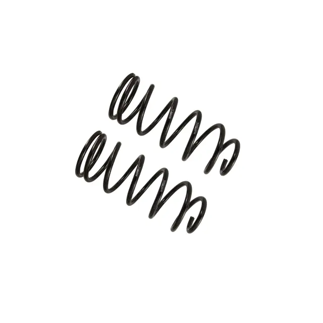 36281817 - : B12 (Special) - Coil Spring Set for Bilstein Image